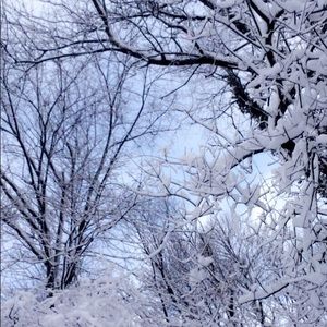 Meet your Posher, Luisa